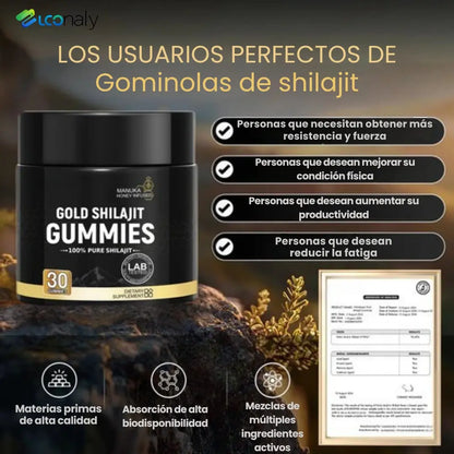 Gold Shilajit Gominolas – Energía y bienestar sin cápsulas